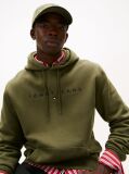 Green Regular Logo Hoody  Men