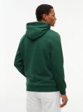 Green Regular Logo Hoody  Men