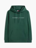 Green Regular Logo Hoody  Men