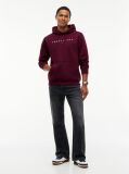 Purple Regular Logo Hoody  Men