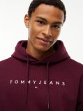 Purple Regular Logo Hoody  Men
