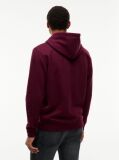 Purple Regular Logo Hoody  Men