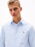 Blue Regular Fit Check Shirt  Men