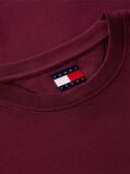 Purple Logo Jersey Crew Neck T-Shirt  Men