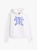 Beige Heritage '90s Varsity Hoody  Men