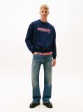 Μπλε Φούτερ Fleece Με Λογότυπο '90s  Άνδρες