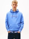 Blue Logo Terry Drawstring Hoody  Men