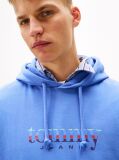 Blue Logo Terry Drawstring Hoody  Men