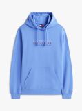 Blue Logo Terry Drawstring Hoody  Men
