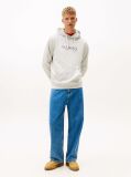 Grey Logo Terry Drawstring Hoody  Men