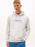 Grey Logo Terry Drawstring Hoody  Men