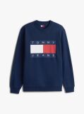 Blue Regular Tonal Flag Crew Neck Sweatshirt  Men