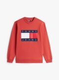 Red Regular Tonal Flag Crew Neck Sweatshirt  Men
