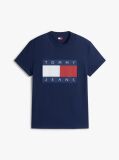 Blue Flag Badge Jersey Crew Neck T-Shirt  Men