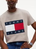 Brown Flag Badge Jersey Crew Neck T-Shirt  Men