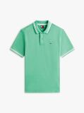 Green Tommy Flag Regular Fit Tipped Polo Shirt  Men