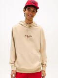 Brown Signature Back Logo Terry Drawstring Hoody  Men