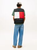 Black Water Repellent Colour-Blocked Back Logo Gilet  Men