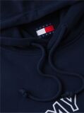Blue Crest Logo Terry Hoody  Men