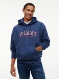 Μπλε Άνετο Σουέτ Hoody Με Λογότυπο  Άνδρες