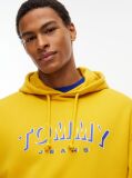 Κίτρινο Άνετο Σουέτ Hoody Με Λογότυπο  Άνδρες