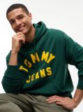 Πράσινο Άνετο Fleece Hoody Με Λογότυπο  Άνδρες