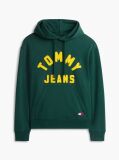 Πράσινο Άνετο Fleece Hoody Με Λογότυπο  Άνδρες