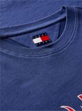 Blue Logo Relaxed Crew Neck T-Shirt  Men