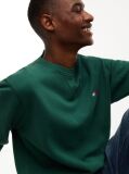 Green Badge Fleece Crew Neck Sweatshirt  Men