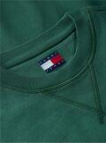 Green Badge Fleece Crew Neck Sweatshirt  Men