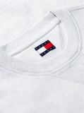 Γκρι Φούτερ Με Κλασική Λαιμόκοψη Και Fleece Επένδυση  Άνδρες