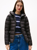 dw0dw21617bds 1