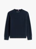 Blue Monotype Graphic Crew Neck Sweater  Boys