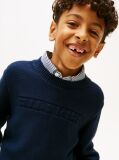 Blue Monotype Graphic Crew Neck Sweater  Boys