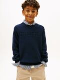 Blue Monotype Graphic Crew Neck Sweater  Boys