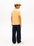 Orange Regular Fit Textured Polo Shirt  Boys