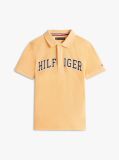 Orange Regular Fit Textured Polo Shirt  Boys