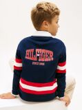 Blue Back Graphic Long Sleeve Polo Shirt  Boys