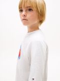 Grey Smiley Flag Logo Jersey T-Shirt  Boys