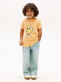 Orange Graphic Print Jersey T-Shirt  Boys