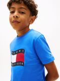 Blue Wavy Flag Jersey Crew Neck T-Shirt  Boys