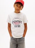 Grey Basketball Graphic Jersey T-Shirt  Boys