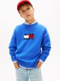 Blue Intarsia Wavy Flag Crew Neck Jumper  Boys