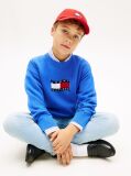 Blue Intarsia Wavy Flag Crew Neck Jumper  Boys