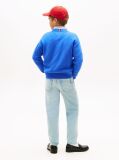 Blue Intarsia Wavy Flag Crew Neck Jumper  Boys