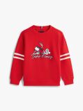 Κόκκινο Βαμβακερό Φούτερ Με Graphic Σχέδιο  Αγόρια