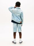 Blue Wavy Flag Embroidery Denim Trucker Jacket  Boys