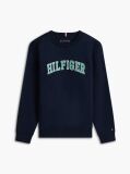 Blue Logo Terry Crew Neck Sweatshirt  Boys