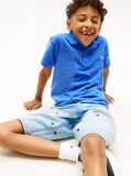 Blue Regular Fit Wavy Flag Embroidery Polo Shirt  Boys