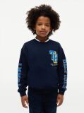 Blue Varsity Logo Sweatshirt  Boys